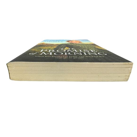 The Promise of Morning by Ann Shorey (Paperback) - Picture 4 of 6